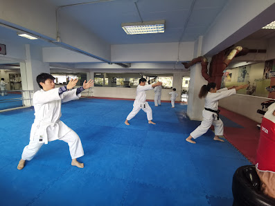 Executive Martial Arts Centre thumb 3